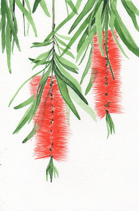Bottle brush